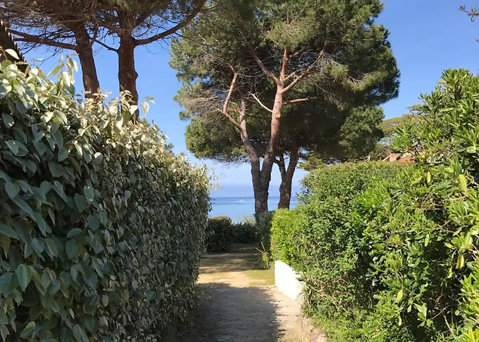 T2 Solane 35 Lumio (Corsica)