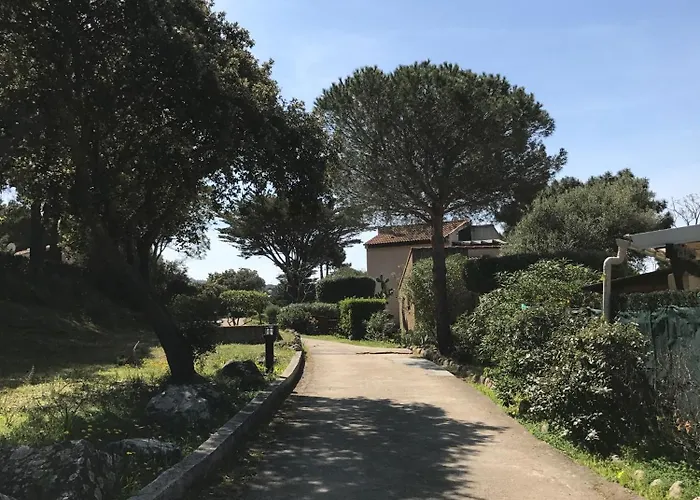 T2 Solane 35 * Lumio (Corsica)