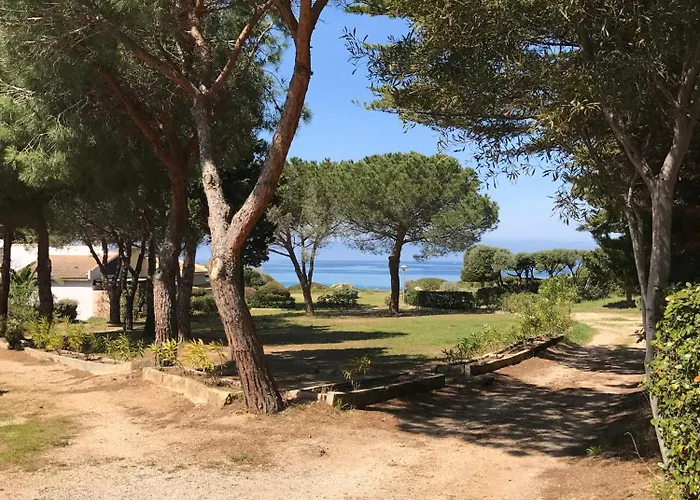 T2 Solane 35 Lumio (Corsica)