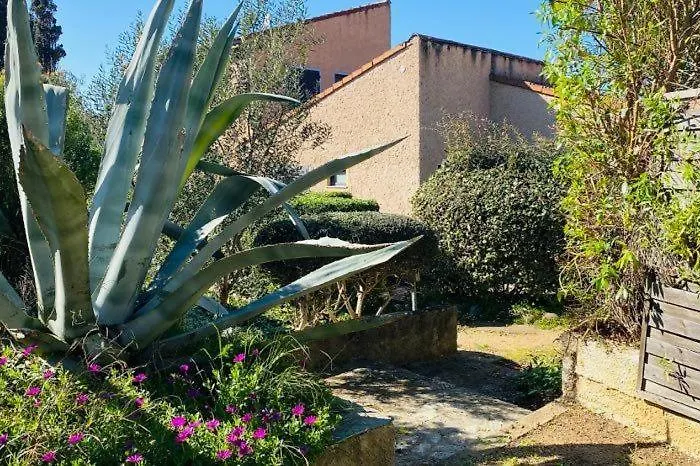 T2 Solane 35 Lumio (Corsica)