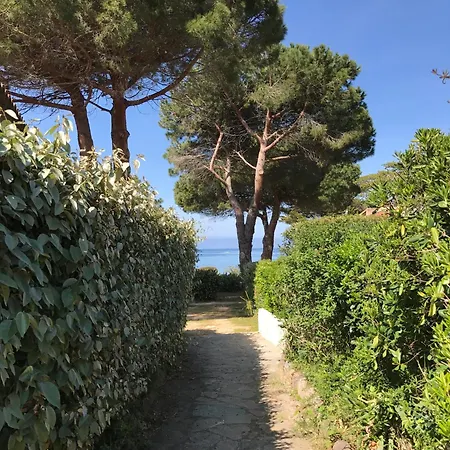 T2 Solane 35 Lumio (Corsica)