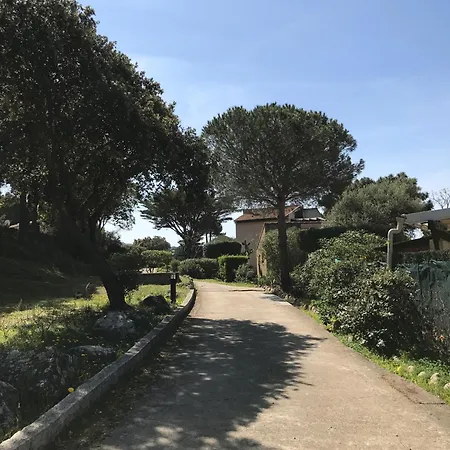 T2 Solane 35 * Lumio (Corsica)