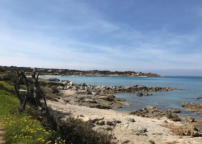 T2 Solane 35 Lumio (Corsica)